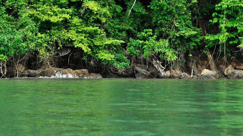 Hotel Sierpe River Εξωτερικό φωτογραφία