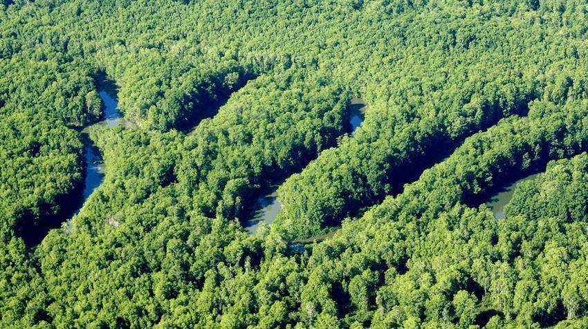 Hotel Sierpe River Εξωτερικό φωτογραφία