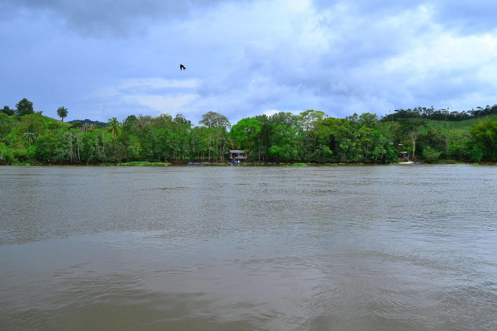 Hotel Sierpe River Εξωτερικό φωτογραφία